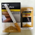 Marlboro Gold (Poland) （10-Pack Carton）